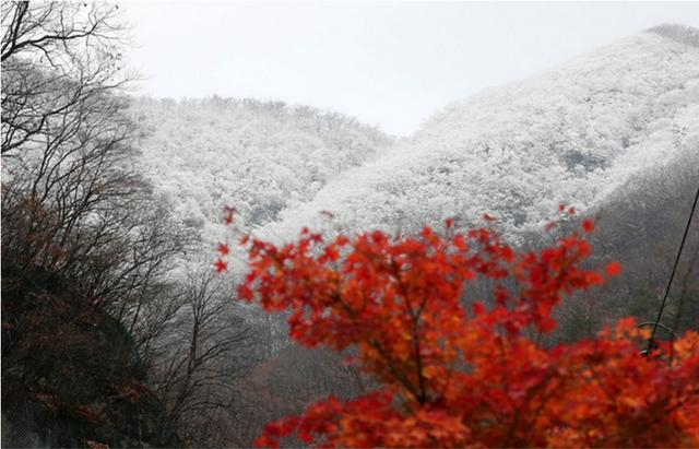 首尔初雪,初雪时分的首尔