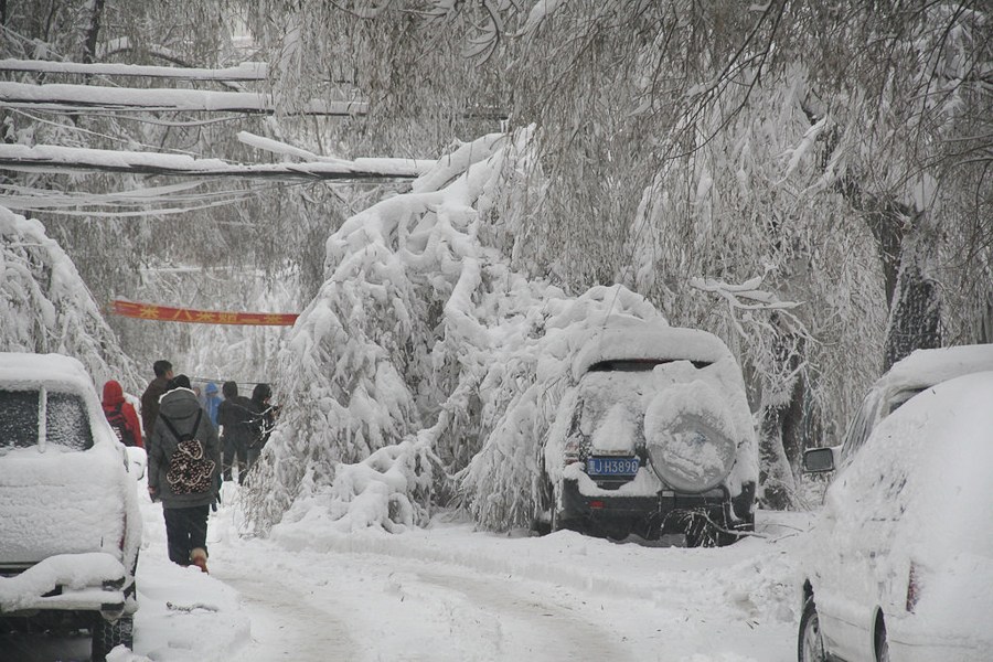 感受鹤岗特大暴雪现场,体验鹤岗罕见暴雪现场