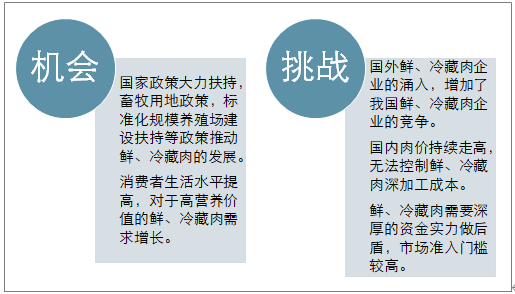 新澳2024正版资料免费公开,落落成略案宽册方_谐资协U51.38