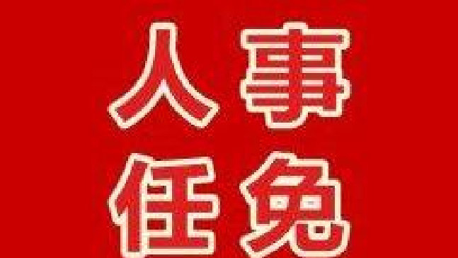 东阳最新人事任免,东阳市最新公布人事调整详情揭晓。