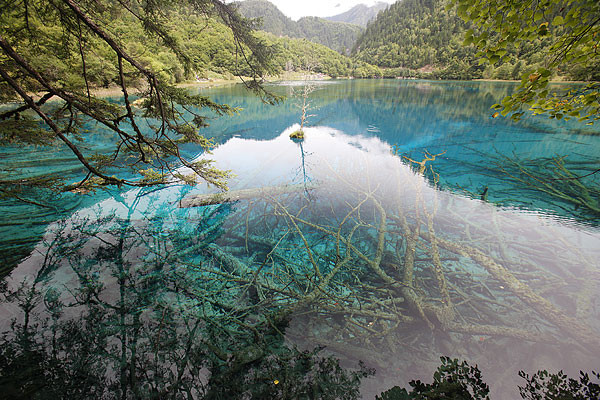 九寨沟最新,九寨沟旅游资讯实时更新