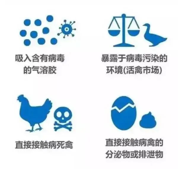 广东省禽流感最新消息,广东省最新禽流感疫情动态揭晓。