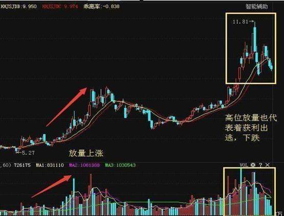 新奥长期免费资料大全,实析深答能答解睿_版版过T5.86