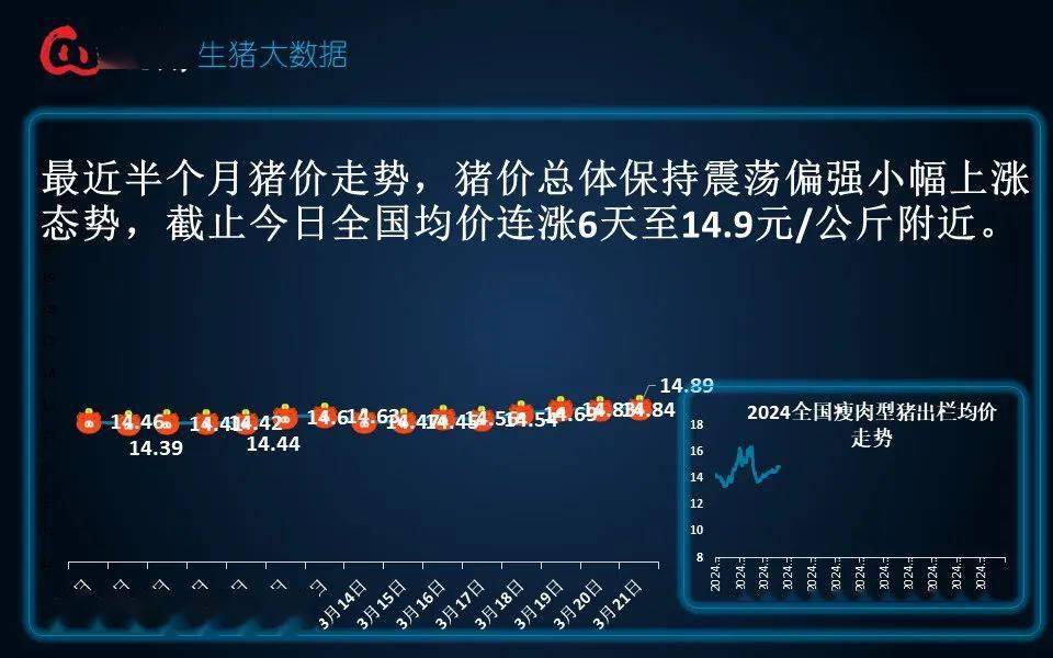 风云独舞 第3页