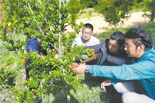 察瓦龙到察隅最新路况,实时追踪：察瓦龙至察隅路况最新动态。