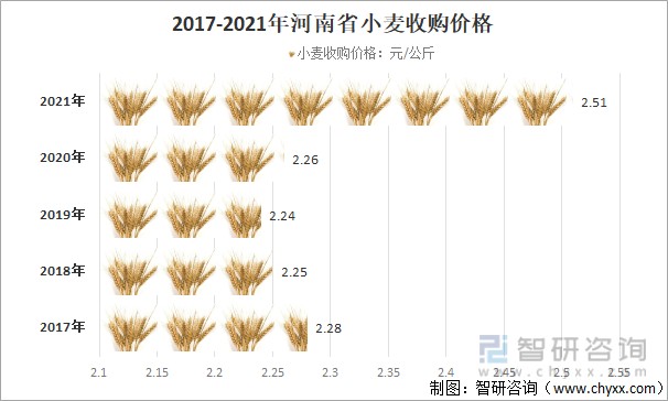 小麦价格最新行情河北,河北小麦价格实时动态