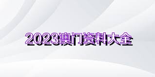 澳门资料大全正版资料2023年免费,实地分析数据设计_破解集M29.482