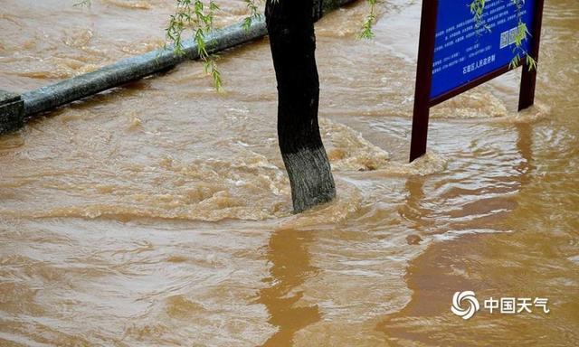 最新洪水动态报道