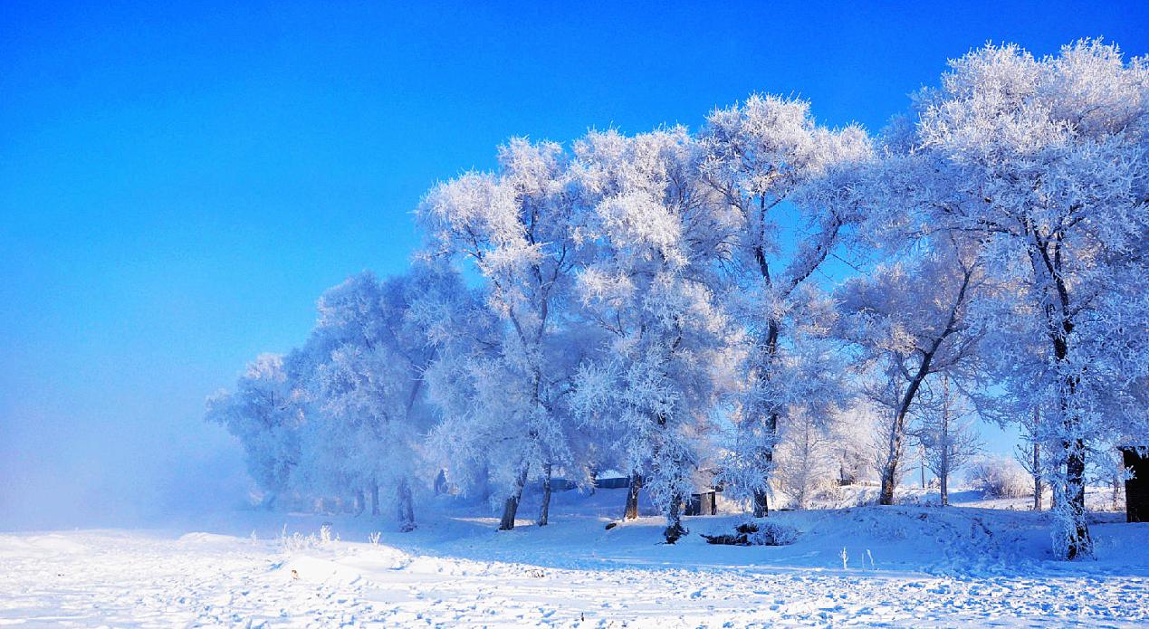 冰封奇观：震撼人心的冰雪奇幻之旅